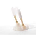 Penis Extender XMEN000222